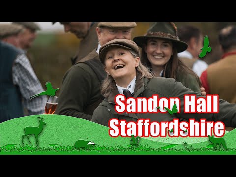 Видео: Стрельба в Сэндон-Холле, Стаффордшир