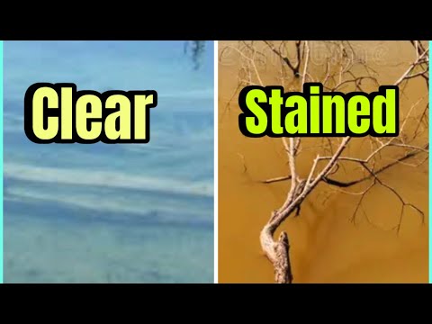 Видео: Самый большой МИФ о прозрачности воды и окуне…