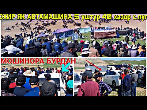 Видео: ОХИР ЯК АВТАМАШИНА 5 УШТУР 5 АСП 5 ГОВ 40 ХАЗОР С. ПУЛ  бузкаши дангара 22.03.2023 БАХТОВАР ЧОВАНДОЗ