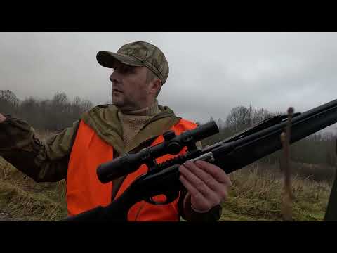 Видео: Загока как она есть