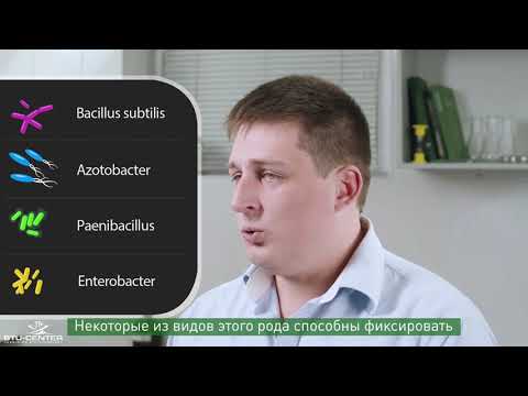 Видео: Бактерии и питание растений | О МИКРОБАХ ПРОСТО |  Часть 4