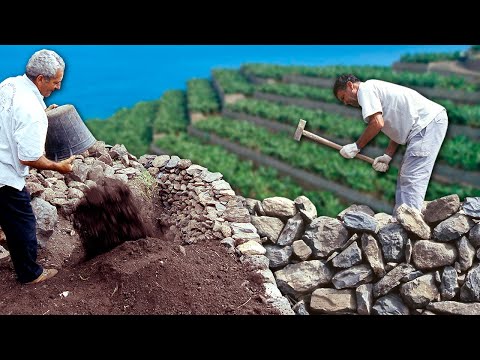 Видео: Каменные стены для выравнивания наклонной местности. Это традиционная островная архитектура