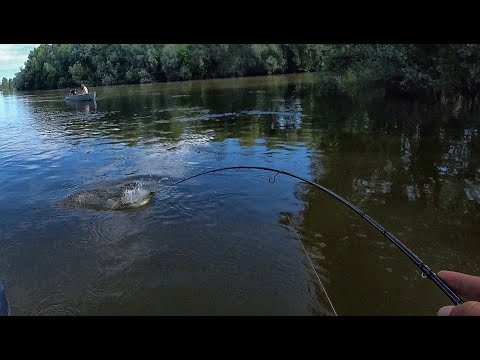 Видео: ТАКУЮ РЫБАЛКУ ЖДАЛИ НЕСКОЛЬКО ЛЕТ!! Рыбалка мечты на спаде высокой воды, 1 серия.