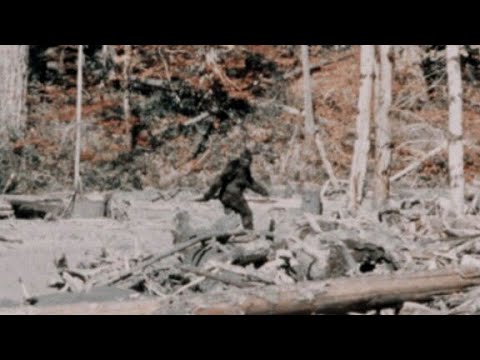 Видео: Она искала Ети, фильм о Жанне Кофман