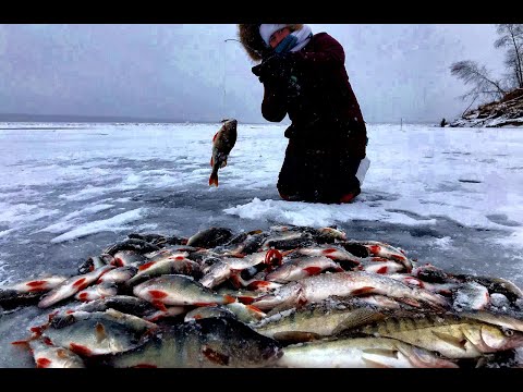 Видео: ОТ ТАКОГО РУКИ ТРЯСУТСЯ,ШОКИРУЮЩАЯ РЫБАЛКА МЕЧТЫ!ЭТО НЕ ЯКУТИЯ 2! Первый лед, Крупный окунь.