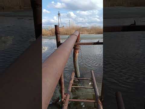 Видео: Карасук, паводок,  начало подъëма воды. 14 04.24 вечер 18.00