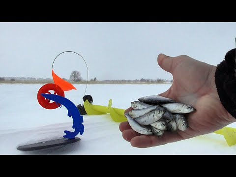 Видео: Реакция ЩУКИ на Кильку! Ловля щуки на жерлицу. Подводная съемка