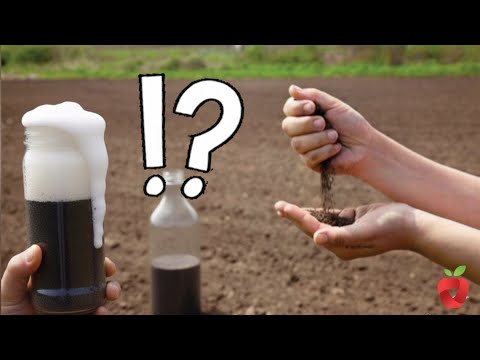 Видео: Осенний тест качества почвы с 3 ингредиентами — узнайте, какие питательные вещества добавить!