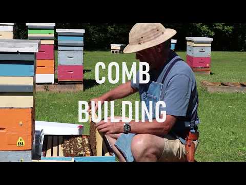 Видео: Здание Комб