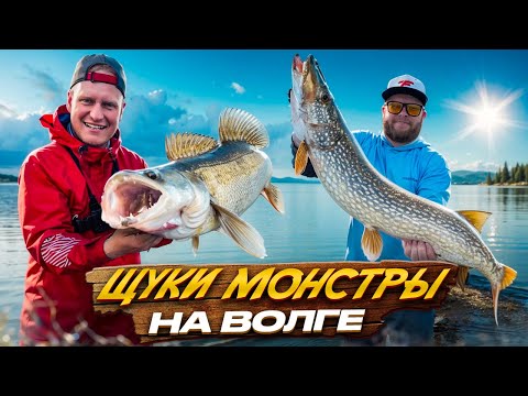 Видео: ЩУКИ-МОНСТРЫ на Волге