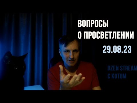 Видео: Встреча о просветлении | 29.08.23 Веретенников