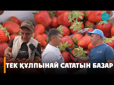 Видео: Сарыағаш ауданында тек құлпынай сататын базар бар