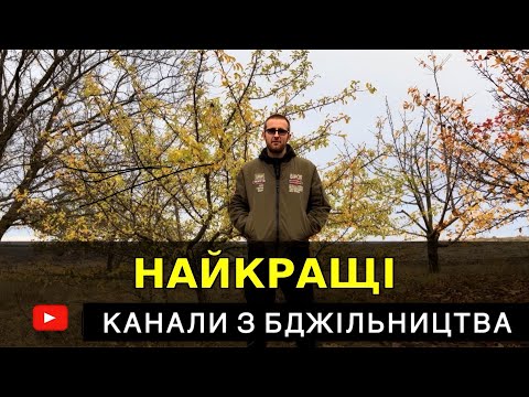 Видео: Топ-10 🇺🇦 каналів з Бджільництва 🐝