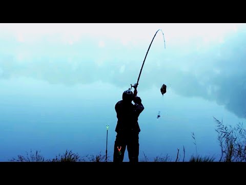 Видео: НАШЁЛ САМУЮ ГОЛОДНУЮ!!!. Оснастка для ловли КАРПА, как сделать закорм. Рыбалка на КАРПОВЫХ И ХИЩНЫХ!