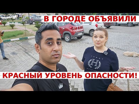 Видео: В городе объявили красный уровень угрозы! Как мы тут живем? Аамир приготовил ужин!