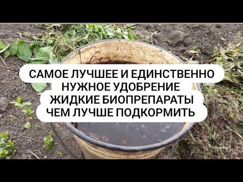 Видео: Лучшее органическое удобрение САМОЕ НУЖНОЕ