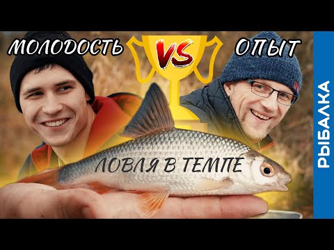 Видео: Ловля ПЛОТВЫ на ФИДЕР: СРАВНИМ два ПОДХОДА!