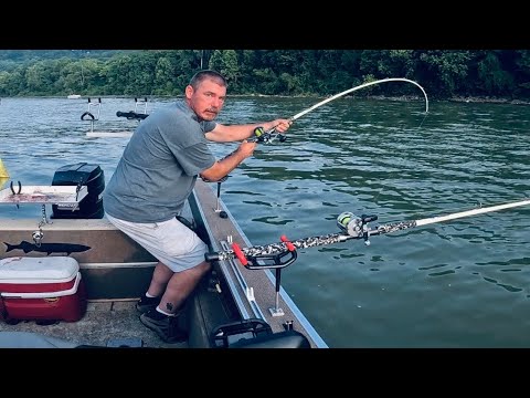 Видео: Гигант реки Огайо (Голубой сом)