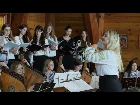 Видео: The Bloom Falls — Тихо Падає Цвіт