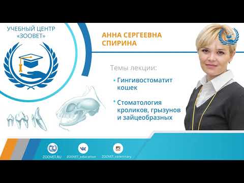 Видео: Спирина А. С. в УЦ «Зоовет» | Стоматология, ч. 1