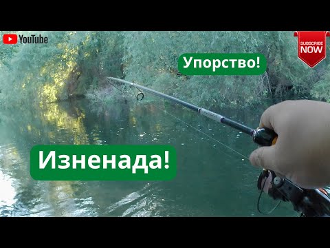 Видео: Закъсняло кефалско откриване!