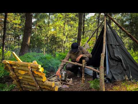 Видео: 2-дневный одиночный кемпинг в Бушкрафте, ремесленная походная печь, парусиновая палатка