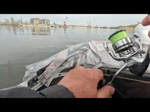 Видео: вечерний выезд за клыкастым