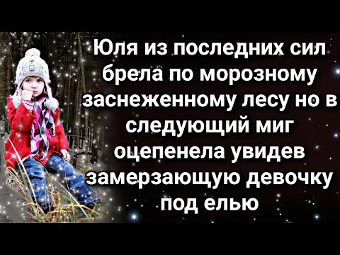 Видео: Морозная ночь