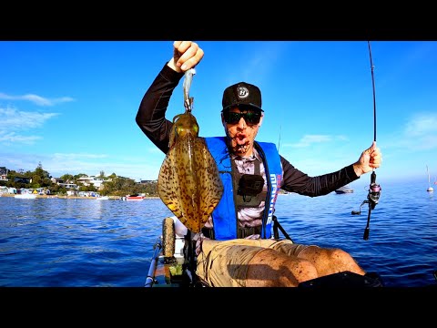 Видео: ЛОВЛЯ КАЛЬМАРОВ В ЛУЧШЕМ ВИДЕ! (НАРИСОВАЛ МЕНЯ)