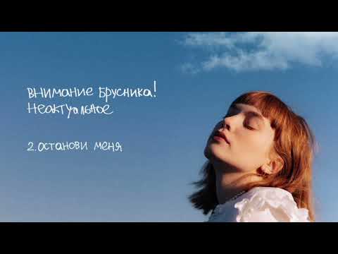 Видео: внимание брусника! – останови меня