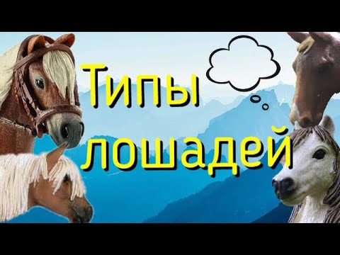 Видео: Типы Лошадей  ||