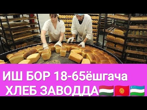 Видео: 🔥Иш бор 18ёшдан-65ёшгача 1000$-1200$ 😱#работа #иш #жумуш #иш_бор 