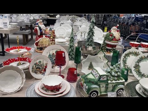 Видео: Шевченко Ирина Прогулка по магазину Эпицентр ноябрь 2025