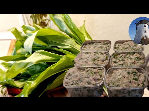 Видео: САЛО КРУЧЕНОЕ С ЧЕРЕМШОЙ НА ЗИМУ