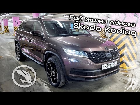 Видео: Отзыв владельца Skoda Kodiaq 2020 г.в. Спустя год. Плюсы и минусы