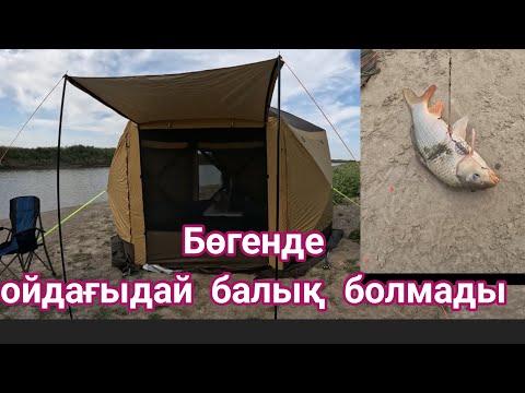 Видео: Бөгенде су түсіп кеткен. Балық балық болмады!