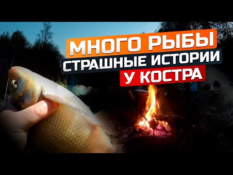 Видео: СУПЕР КЛЁВ! Страшные истории у костра. Рыбалка с ночёвкой на реке Сестра