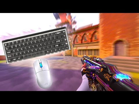 Видео: Valorant, но это Smooth 480Hz