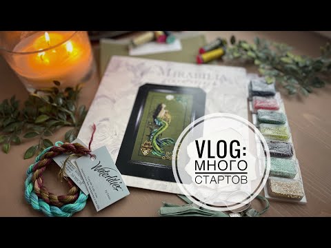 Видео: VLOG: Поначинала 💃🏼🤣 Шью органайзер для вышивки🪡🧵