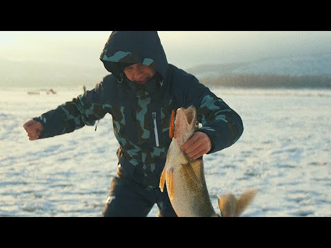Видео: ОТМЕННЫЙ КЛЕВ СУДАКА НА ВИБЫ! Зимняя рыбалка в Тольятти. Саша Котов. САМЫЕ УЛОВИСТЫЕ ПРИМАНКИ! 4K