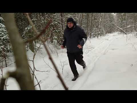 Видео: охота на рябчика с пневматикой..