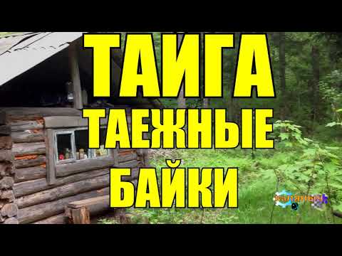 Видео: ТАЕЖНЫЕ БАЙКИ | РАССКАЗЫ ОХОТНИКА | ТАЙГА 2 из 2