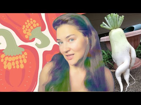 Видео: овощные ноты в парфюме