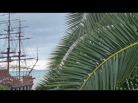 Видео: Отпуск в Сочи. Утренняя прогулка к морю. Шторм. Гранд-отель Жемчужина.