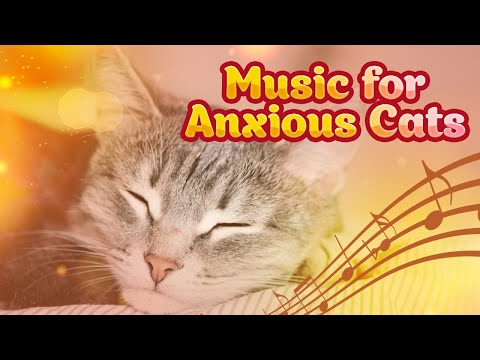 Видео: Музыка для кошек ♬ Звуки, которые любят кошки - Фортепианная музыка для котят 10 часов