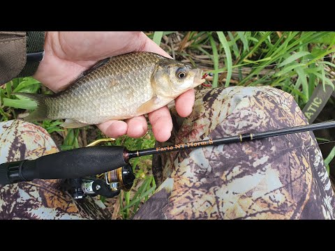Видео: Карасик на мормышку / Мормышинг / Fish Season Fario NT Morm.S 0.5-2 гр