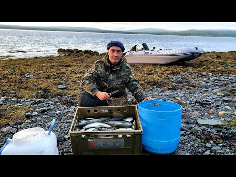 Видео: Рыбалка на Кольском полуострове. Часть 3-я. Сайда.