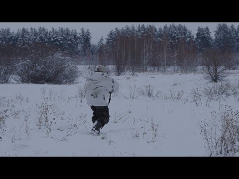 Видео: Погоняли зайцев по полям, охота на зайца с гончей