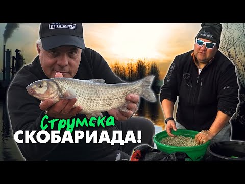 Видео: Струмска СКОБАРИАДА / Как надрахме скобарите на Бяло поле...