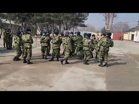 Видео: БАРНОМАИ ХУНАРИИ БАХТИЁР ХОЧАЕВ БА ИФТИХОРИ РУЗИ АРТИШИ МИЛЛИ ЧУМХУРИИ ТОЧИКИСТОН 13,02,2025